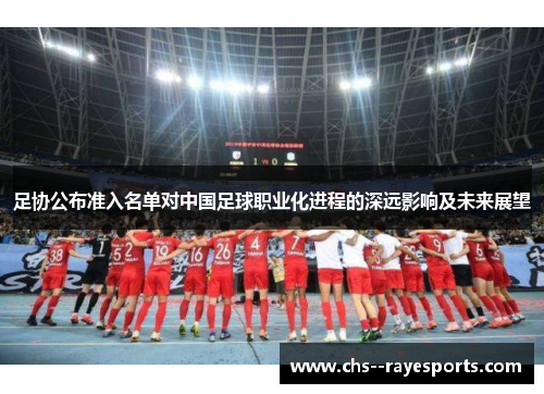 足协公布准入名单对中国足球职业化进程的深远影响及未来展望